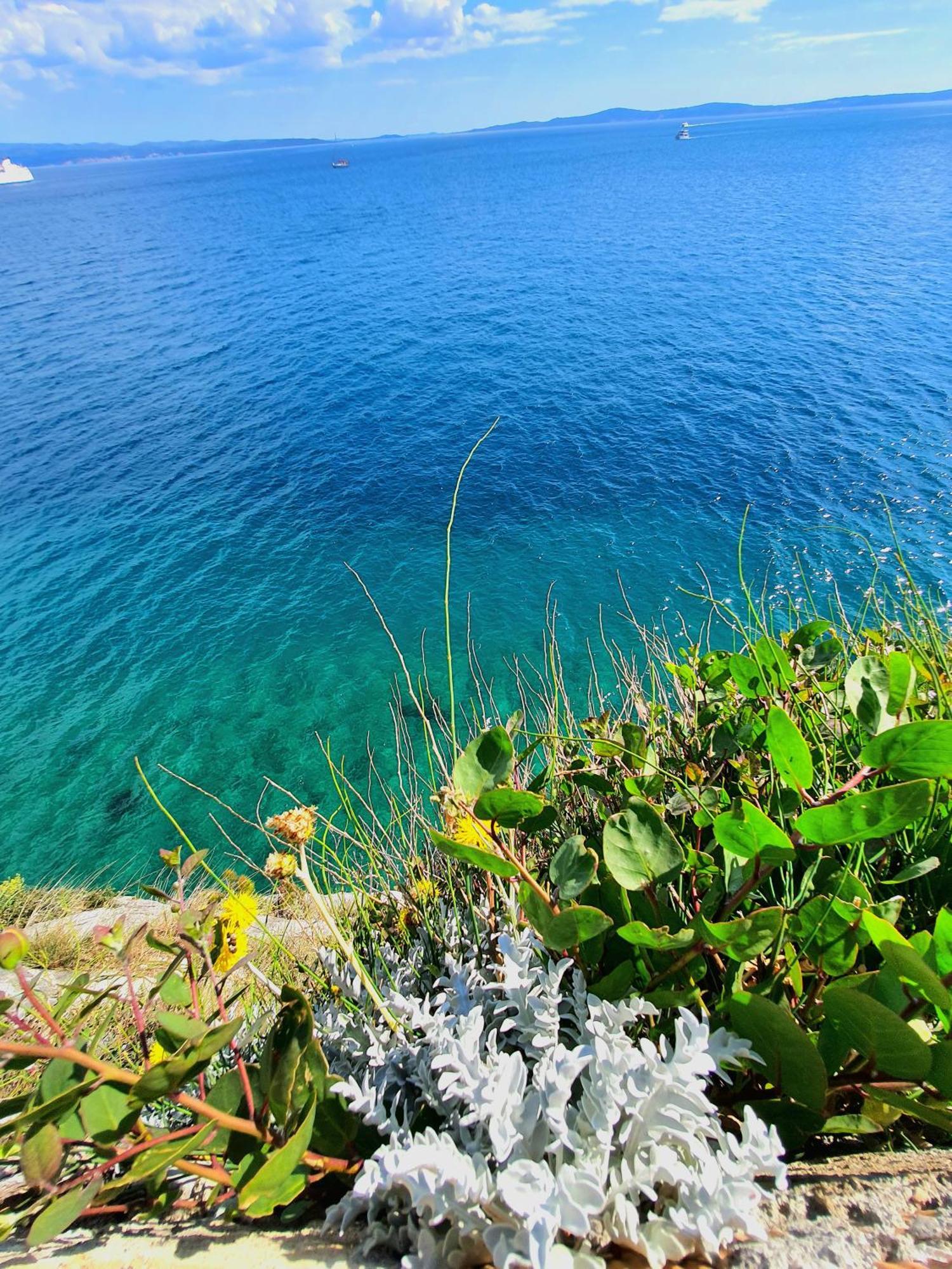 Violeta Hvar Хвар Экстерьер фото