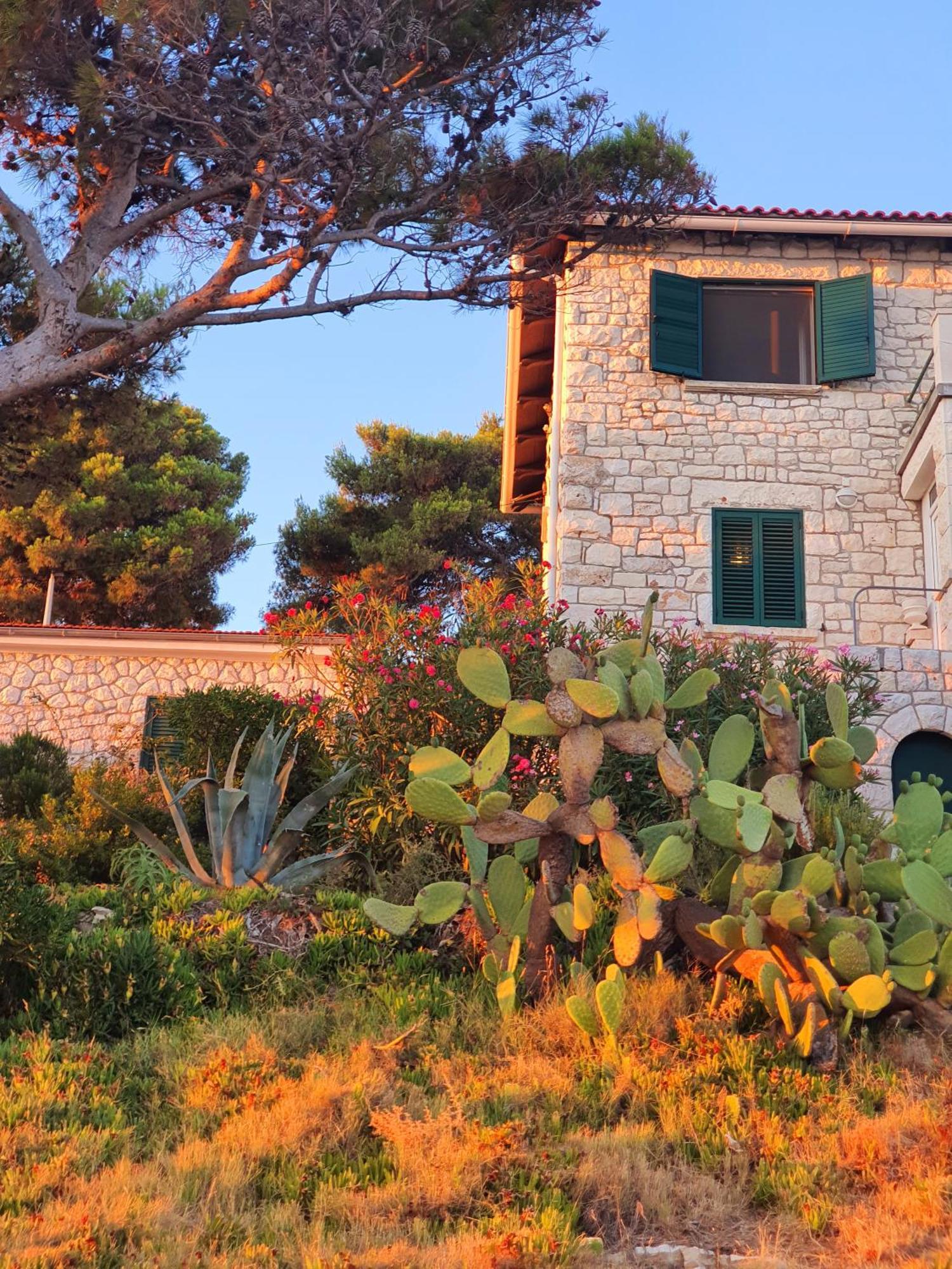 Violeta Hvar Хвар Экстерьер фото